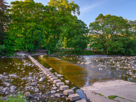 Stepping stones at Stanhope